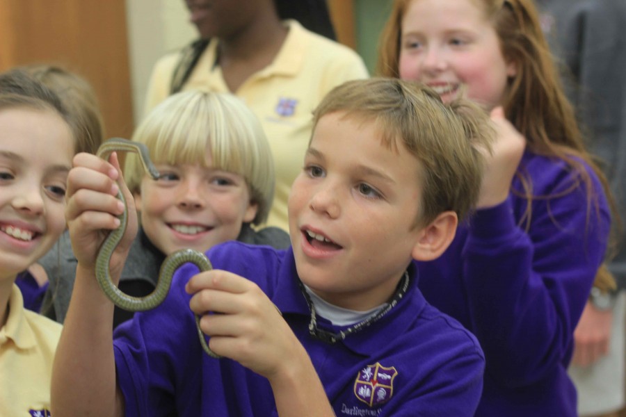 Lower school kids visited the Insect fair in Mr Kinneys room on Tuesday.