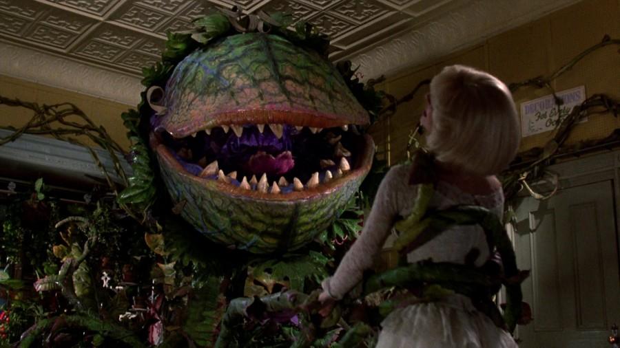 Little Shop of Horrors: Little Preview
