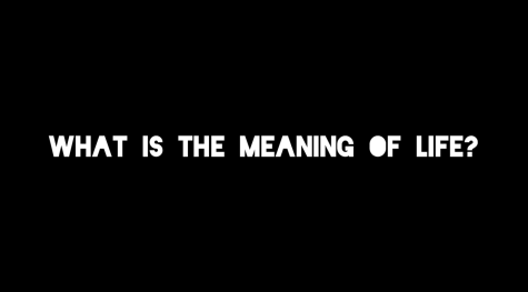 VIDEO: What is the meaning of life?