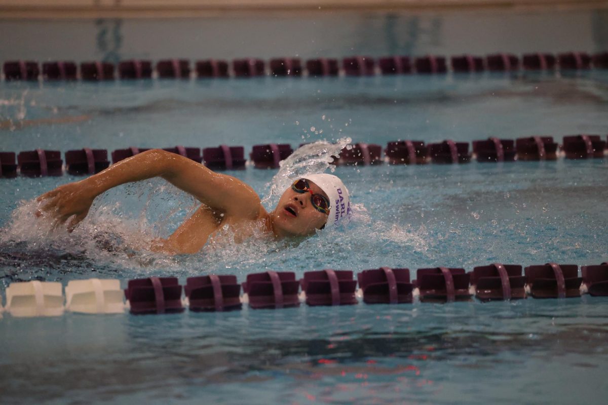 Eli Cheng swimming in the meet