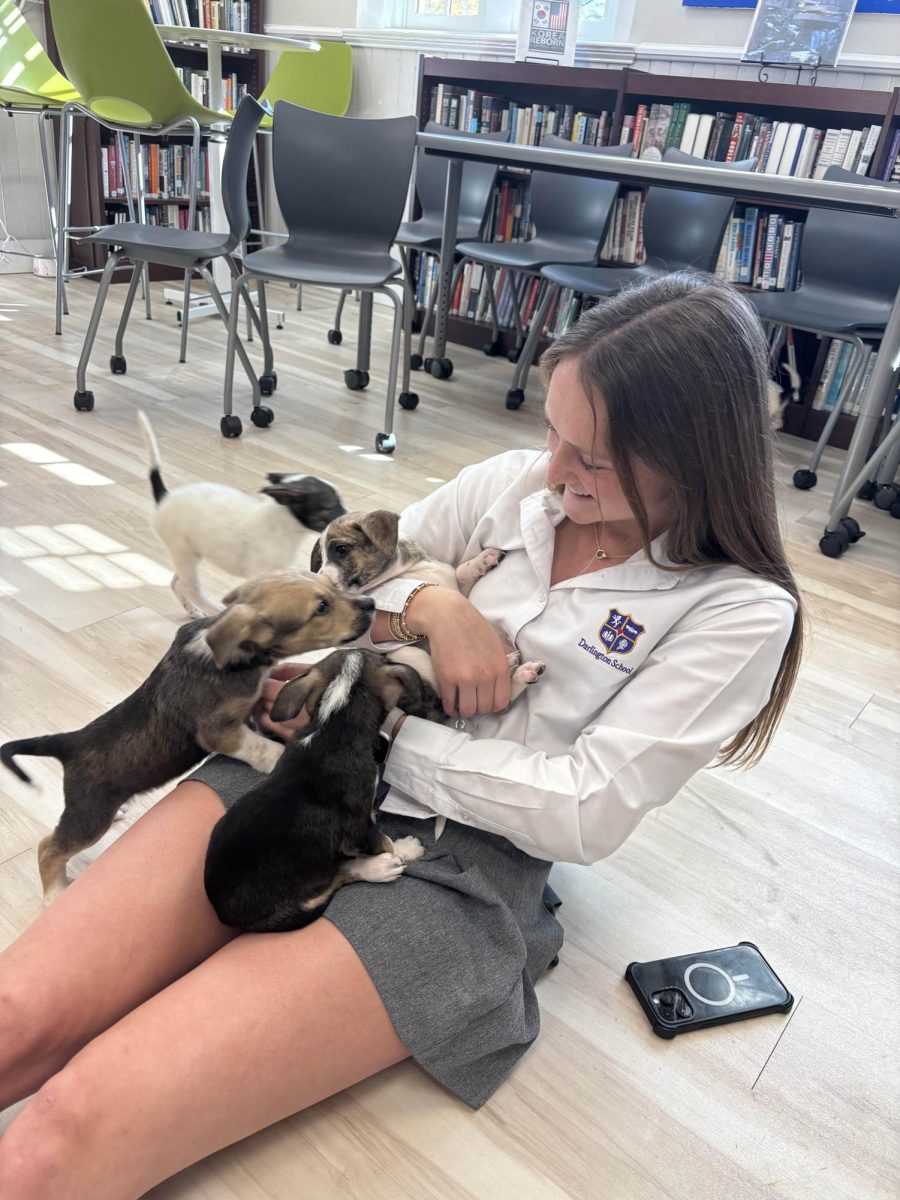Senior Savvy Palmer is lovingly surrounded by all the P.A.W.S puppies.