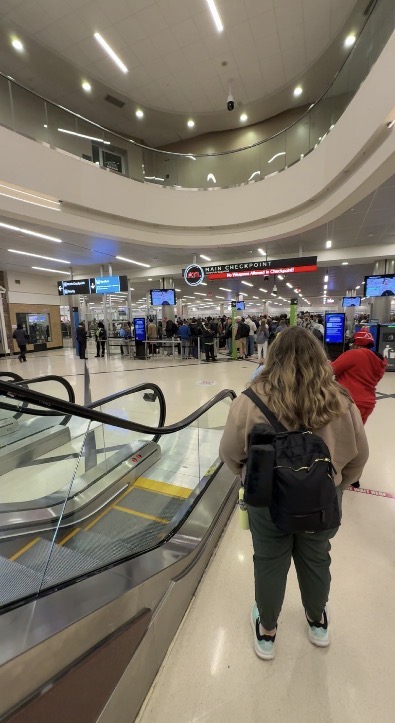 Picture of the TSA lines. 